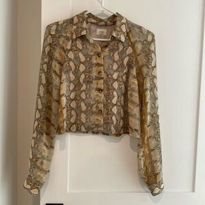 Light spring cropped shirt from Aritzia